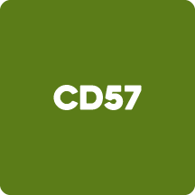 CD57 test panel used for Lyme disease testing at AZMulticare in Scottsdale